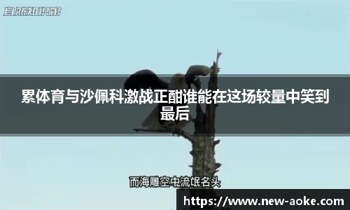 累体育与沙佩科激战正酣谁能在这场较量中笑到最后